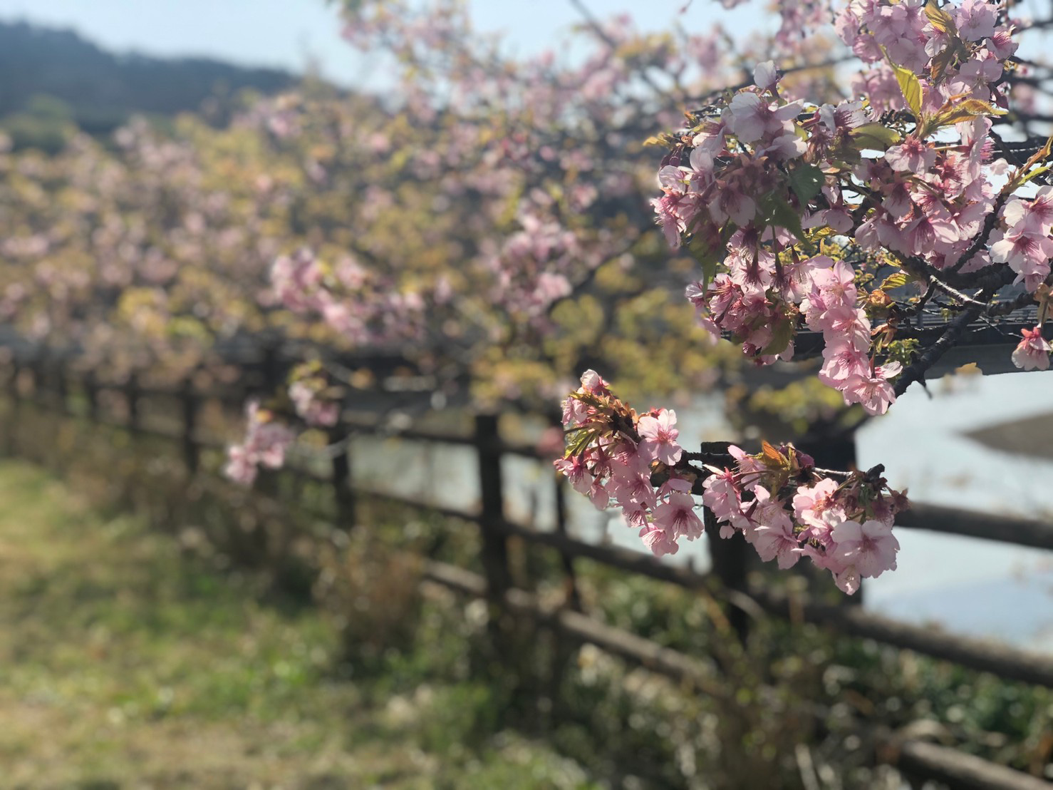 お知らせ キャンセル料の規定について 21年4月25日 By Kinokuniya いつも当グループをご利用いただき誠にありがとうございます 東京都に緊急事態宣言が発出されたことに伴いまして 5月31日までにご宿泊されるお客様におかれましては ご宿泊2