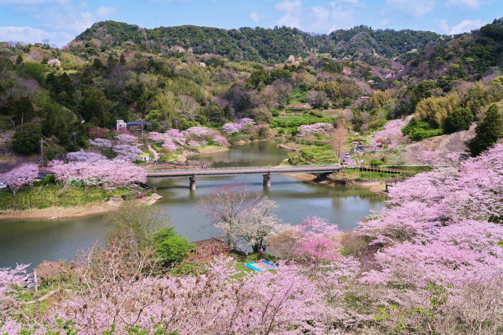 佐久間ダム湖親水公園 外観
