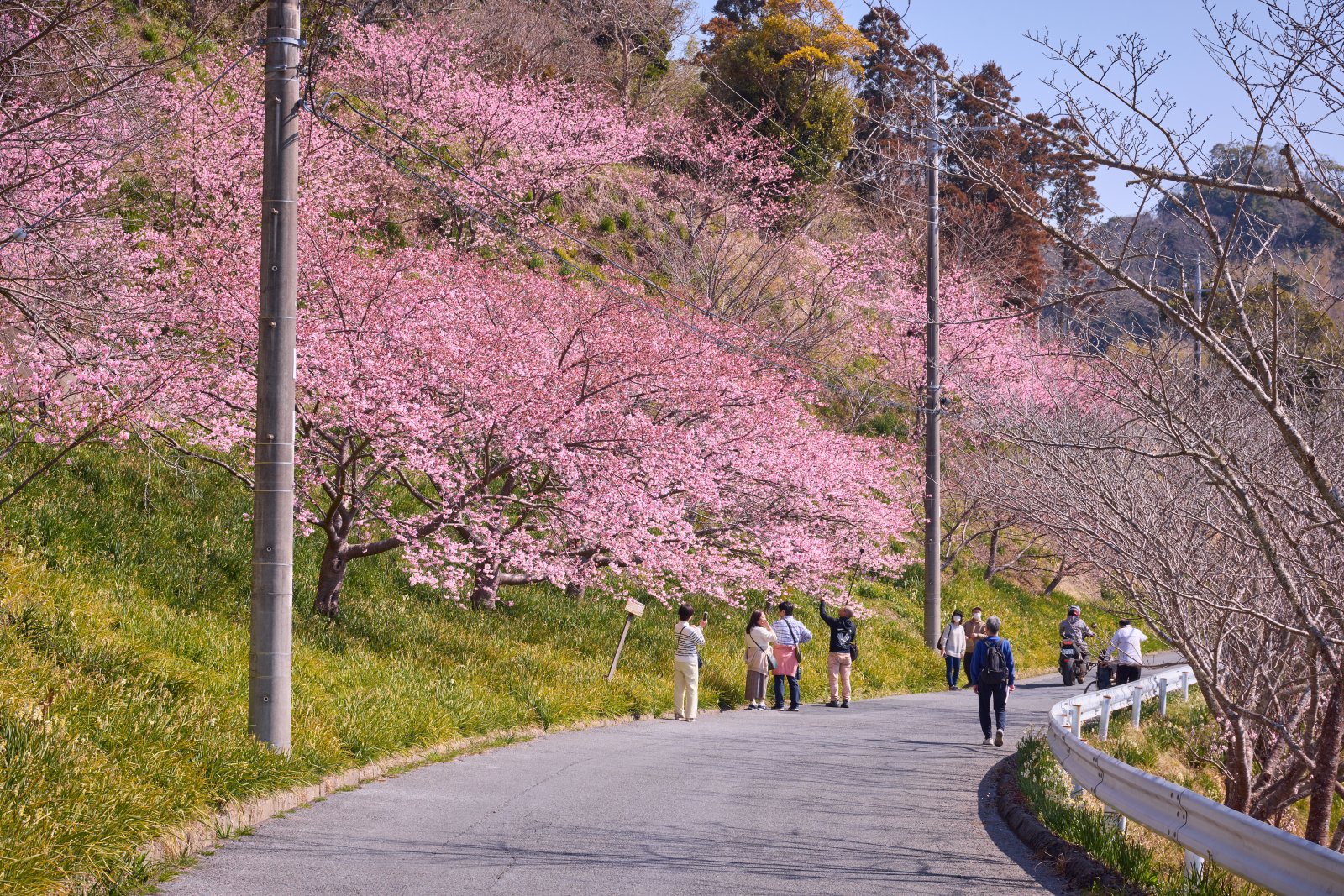 佐久間ダム湖親水公園 外観