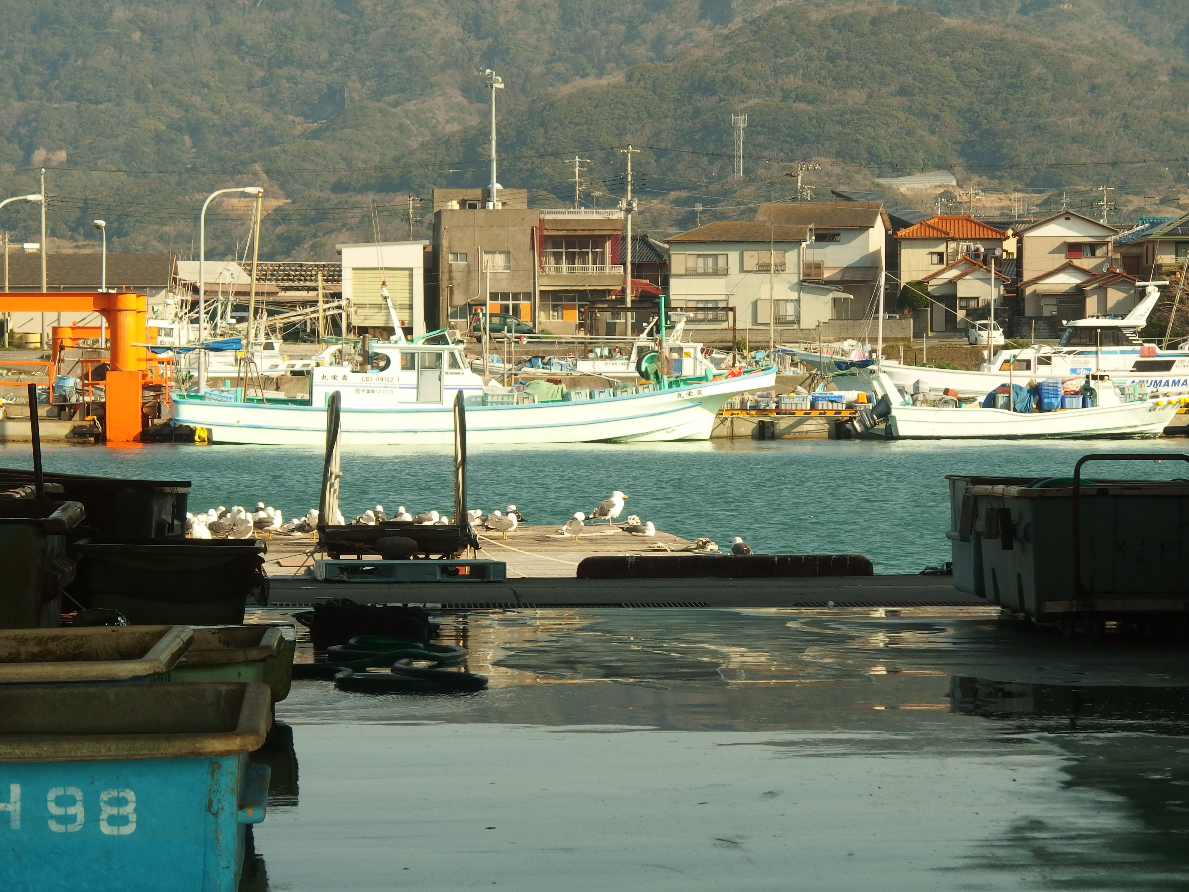 鋸南町の漁港