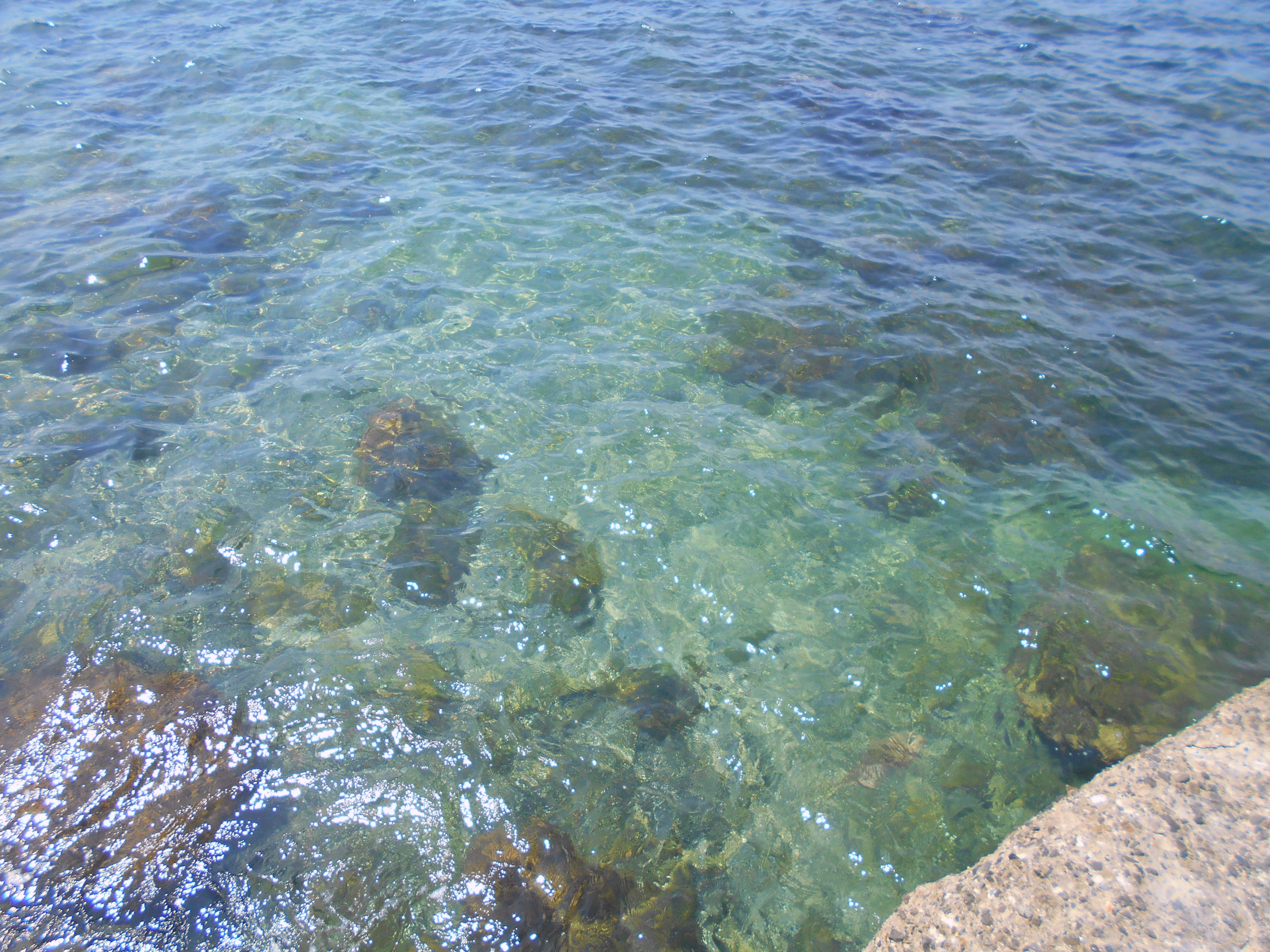 透き通る海