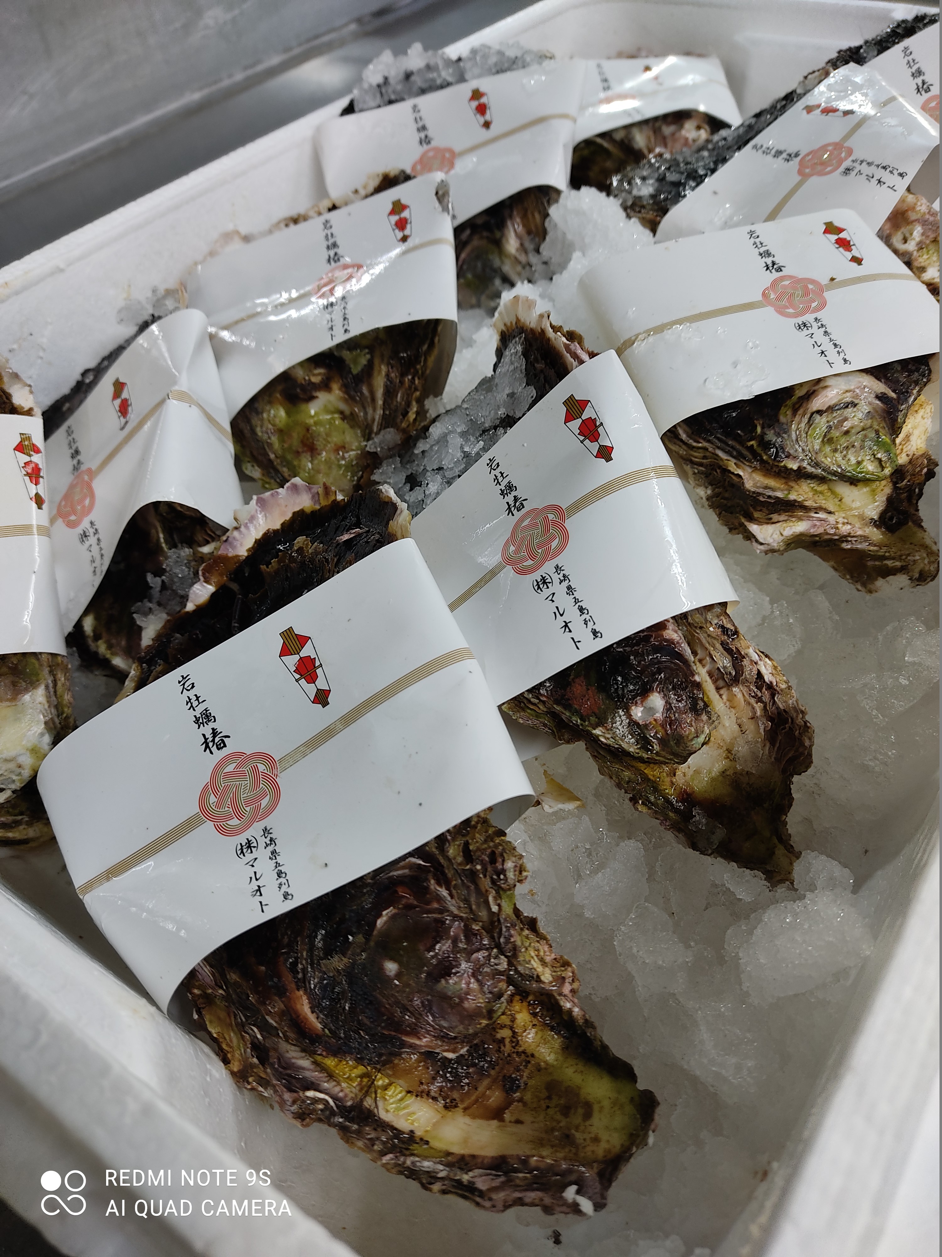 岩牡蠣入荷いたしました！