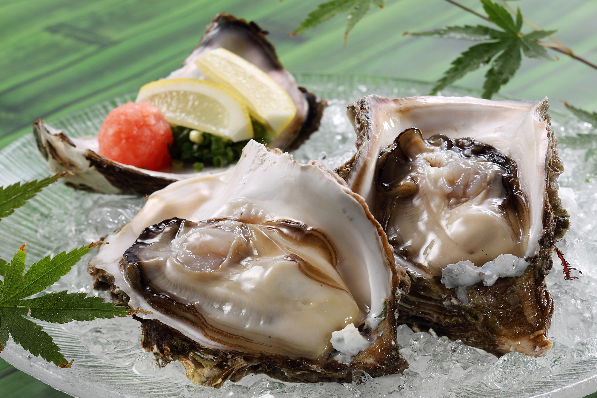 一度は食べたい！季節限定の極上美味「岩ガキ」